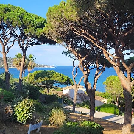 Appartement Vue Mer 200 M Des Plages - Djumbo Sainte-Maxime Extérieur photo
