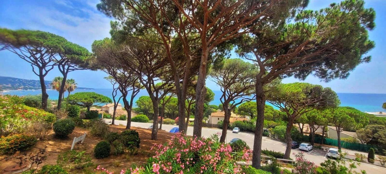 Appartement Vue Mer 200 M Des Plages - Djumbo Sainte-Maxime Extérieur photo